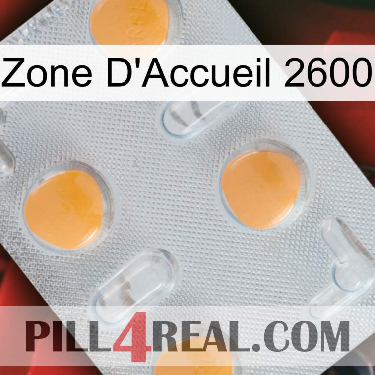 Home Zone 2600 24